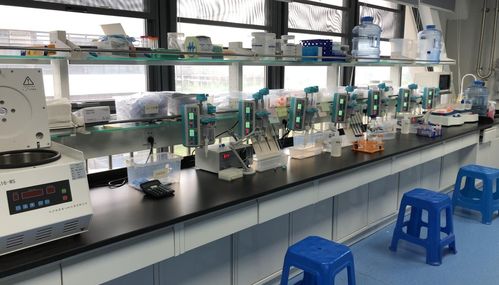 早篩新星天浚元生生物獲國高生物戰投，開啟健康與環?？缃鐒撔?></a></div>
<div   id=