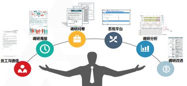 中智管理咨詢 以市場調(diào)查服務(wù)驅(qū)動商業(yè)決策與創(chuàng)新